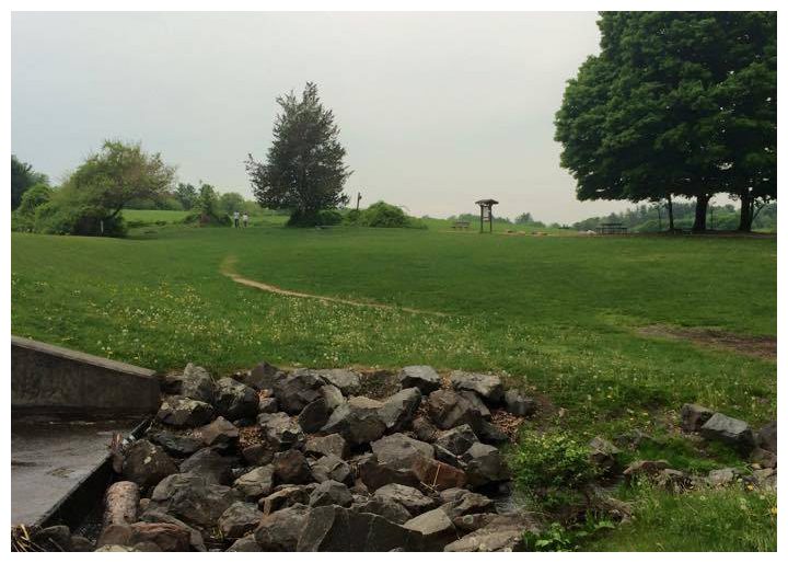 Tarrywile Park parks pond dam with view of fields