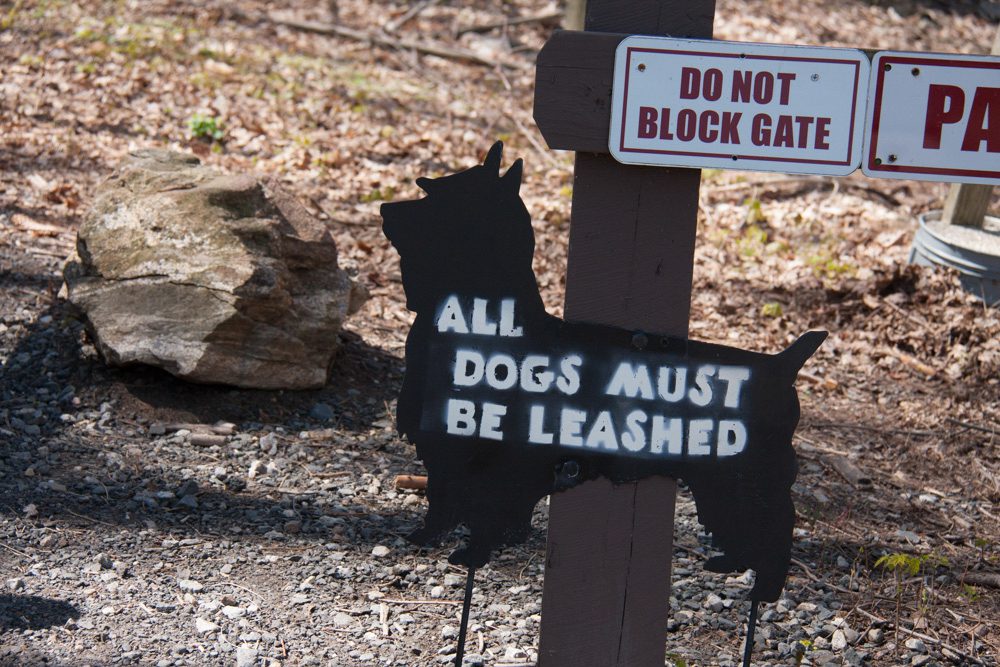 Tarrywile Park all-dogs-must-be-leashed-scotty-dog-sign
