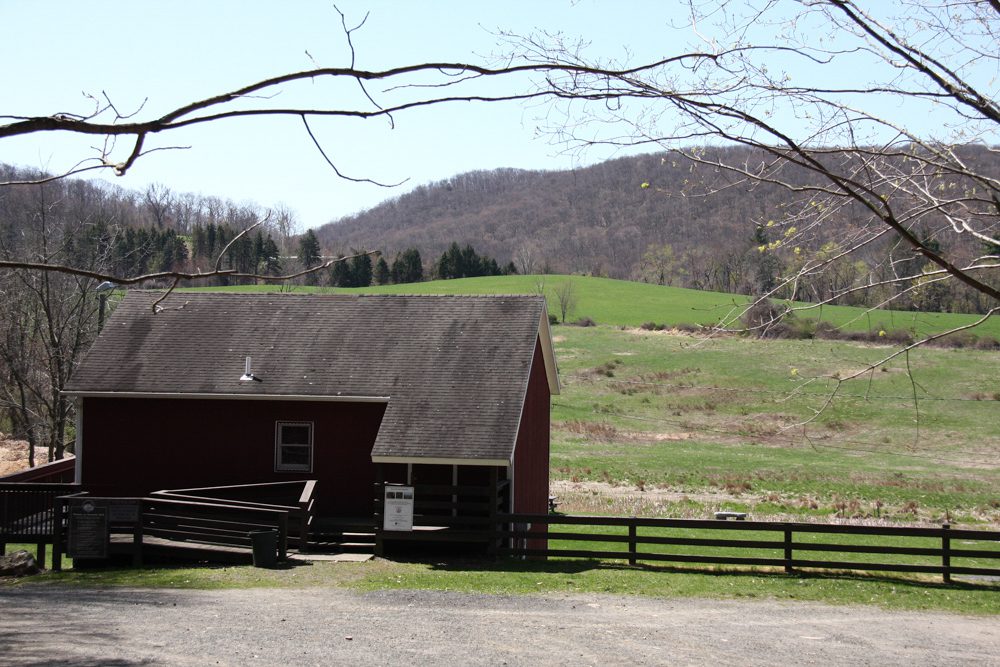 Spring at Tarrywile Park the red barn with the hayfields in the background