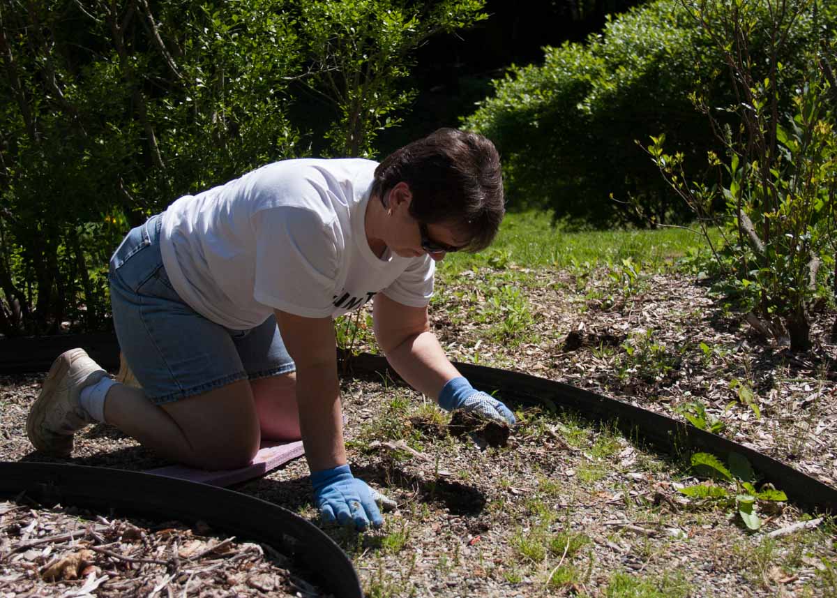 Volunteering at Tarrywile Park United Way Day of Caring with employees from Praxair